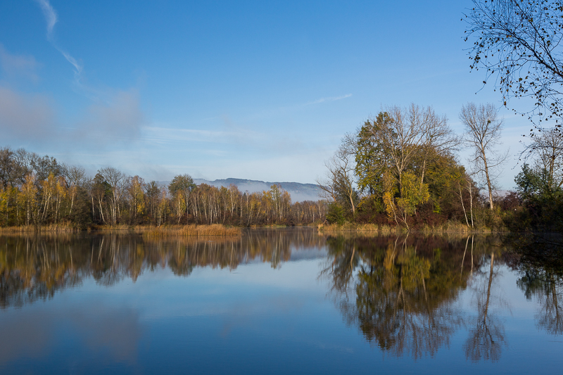 Rheinauen Hohenems 4