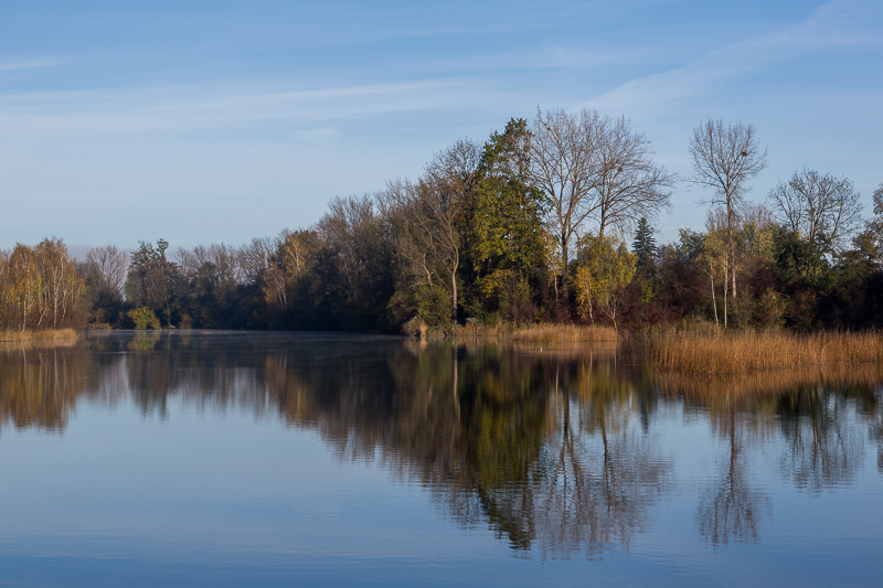 Rheinauen Hohenems 5