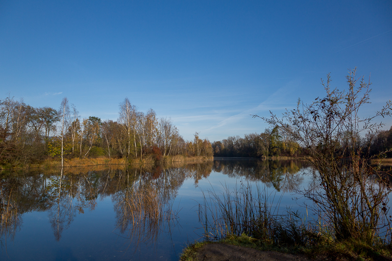 Rheinauen Hohenems 6