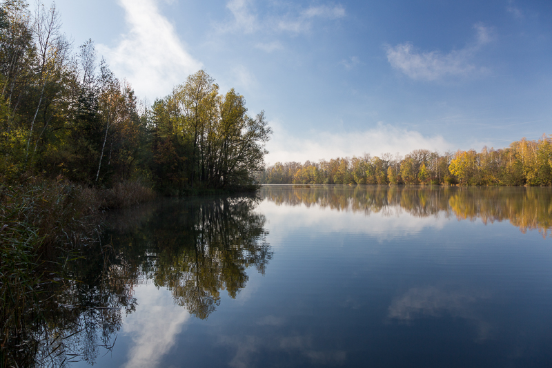 Rheinauen Hohenems 9