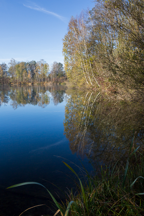 Rheinauen Hohenems 10