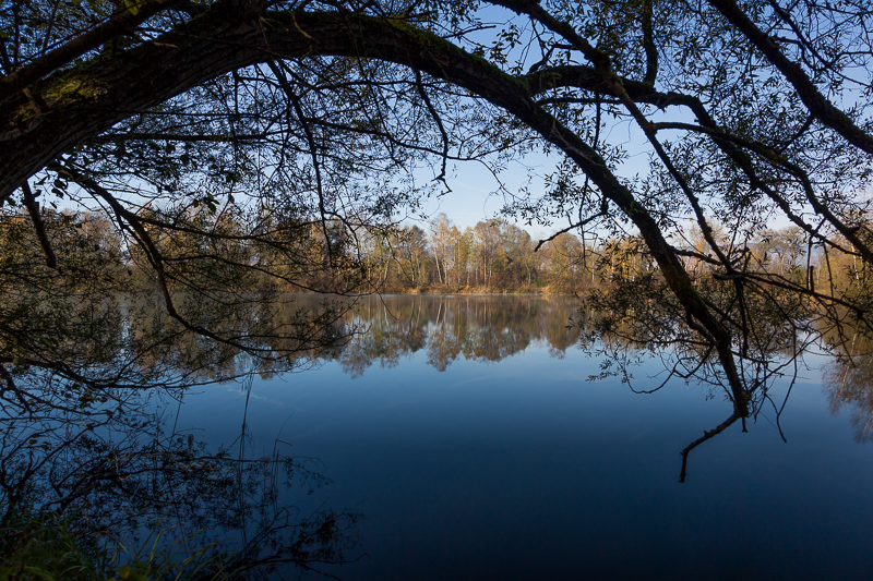 Rheinauen Hohenems 11