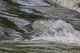 Stromschnellen 4