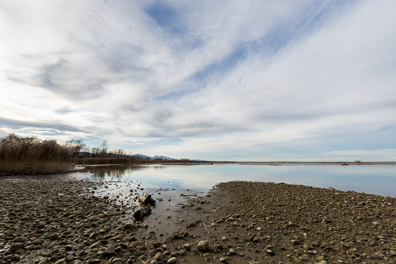 An der Bregenzerachmündung 3