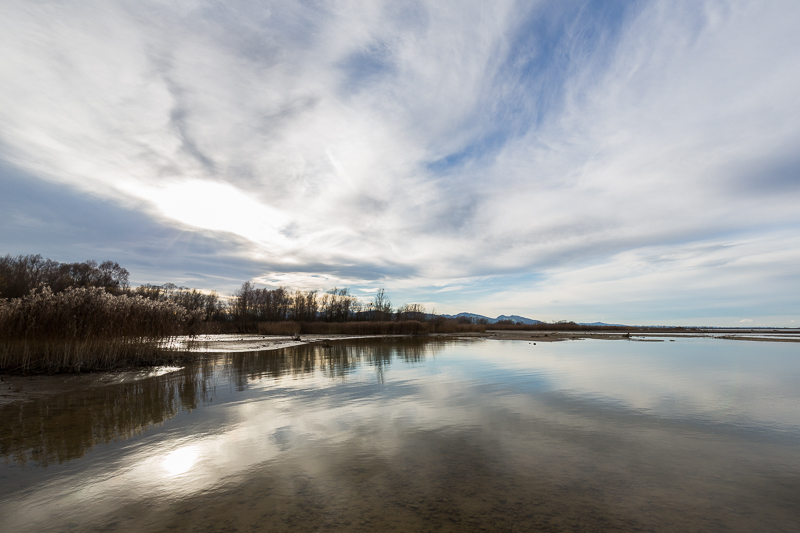 An der Bregenzerachmündung 5