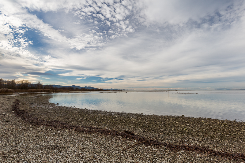 An der Bregenzerachmündung 6