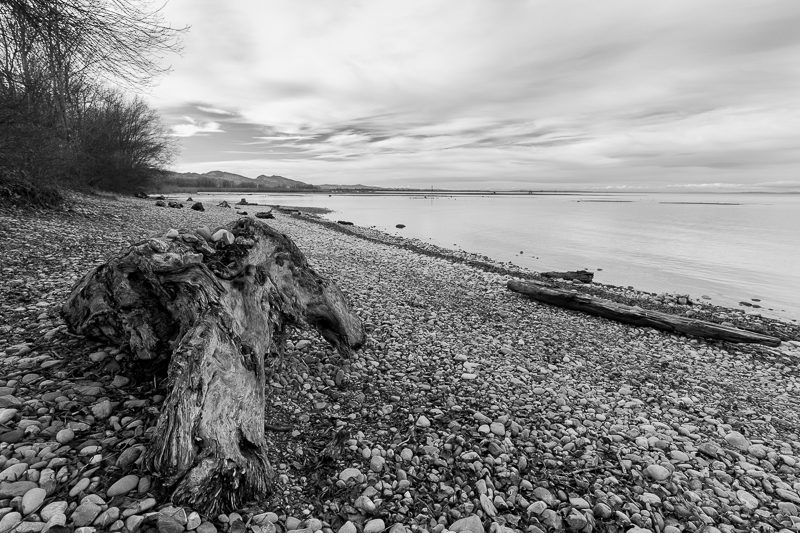 Bregenzerachmündung Schwarz-Weiß 1