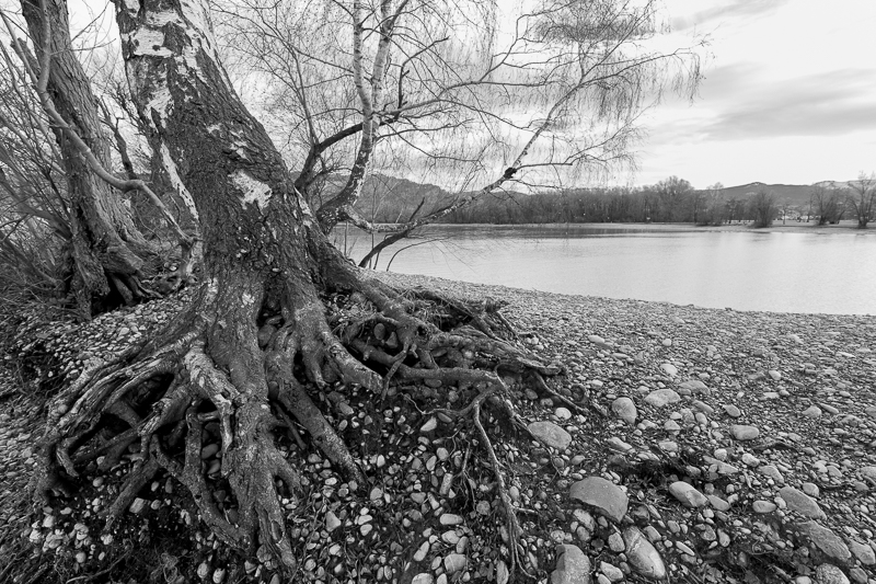 Bregenzerachmündung Schwarz-Weiß 2