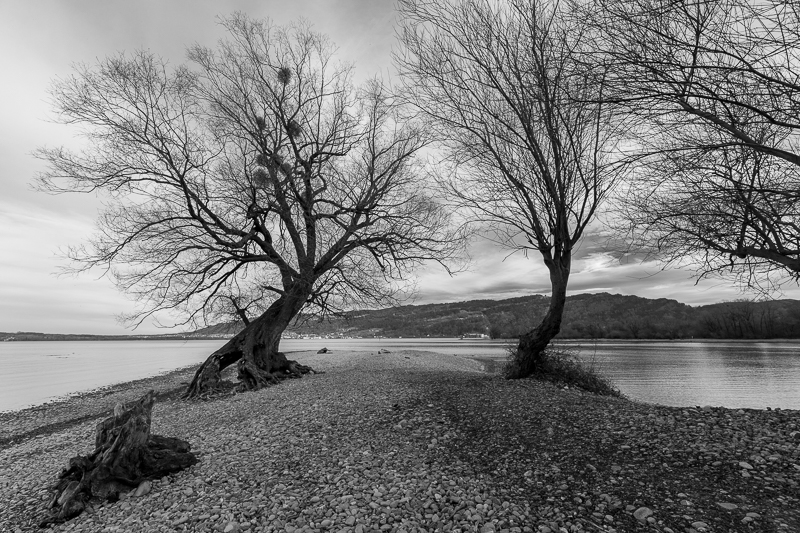 Bregenzerachmündung Schwarz-Weiß 5