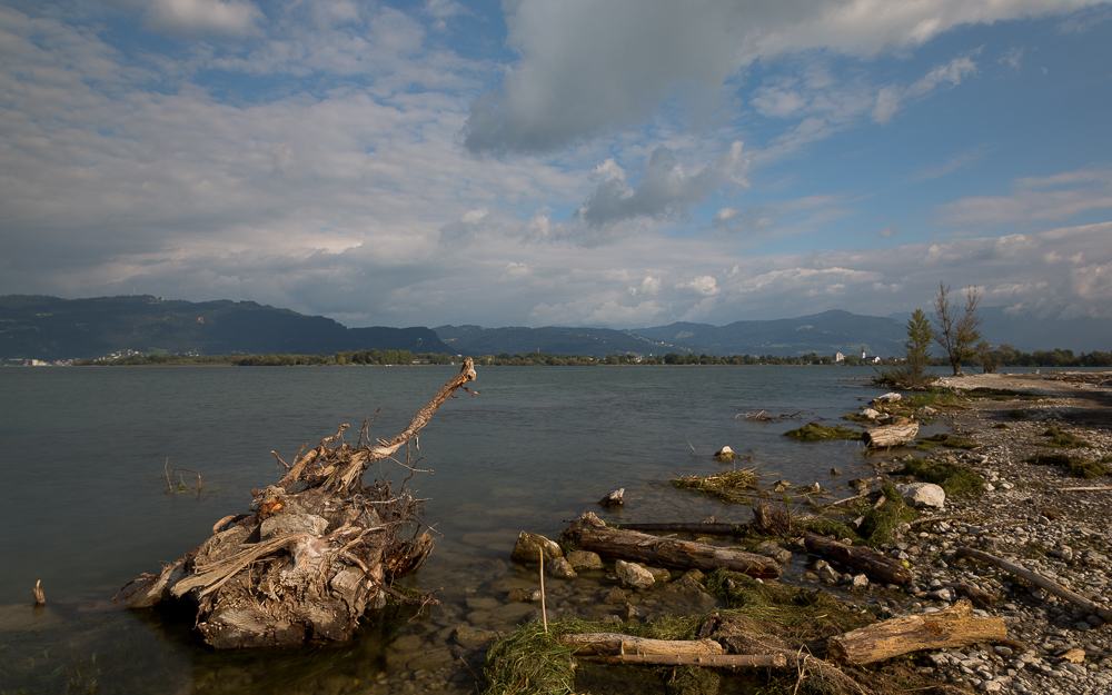 Bodenseeimpressionen 1