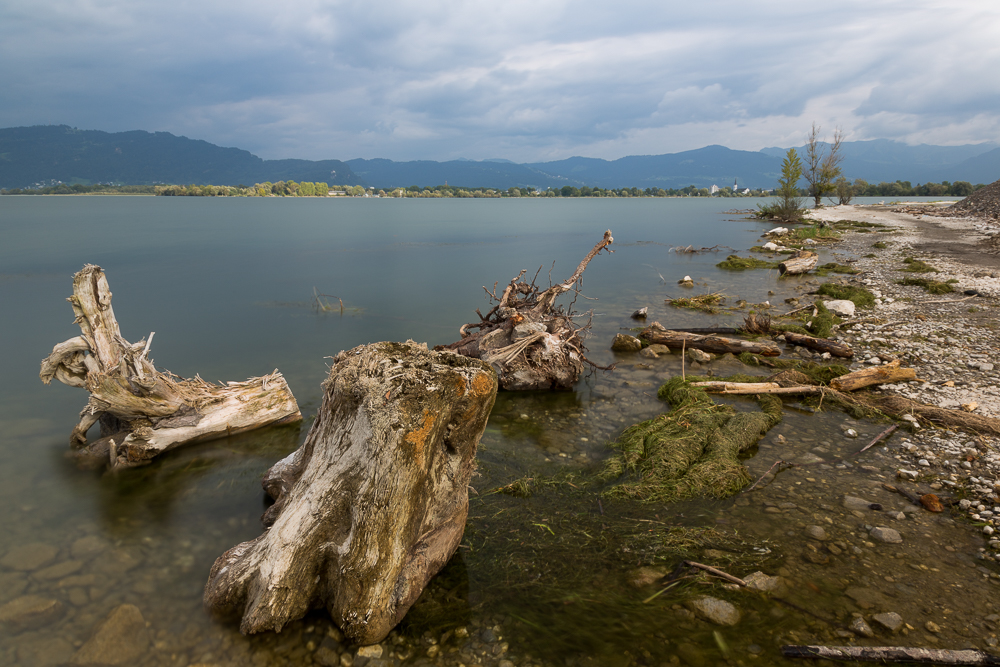 Bodenseeimpressionen 4