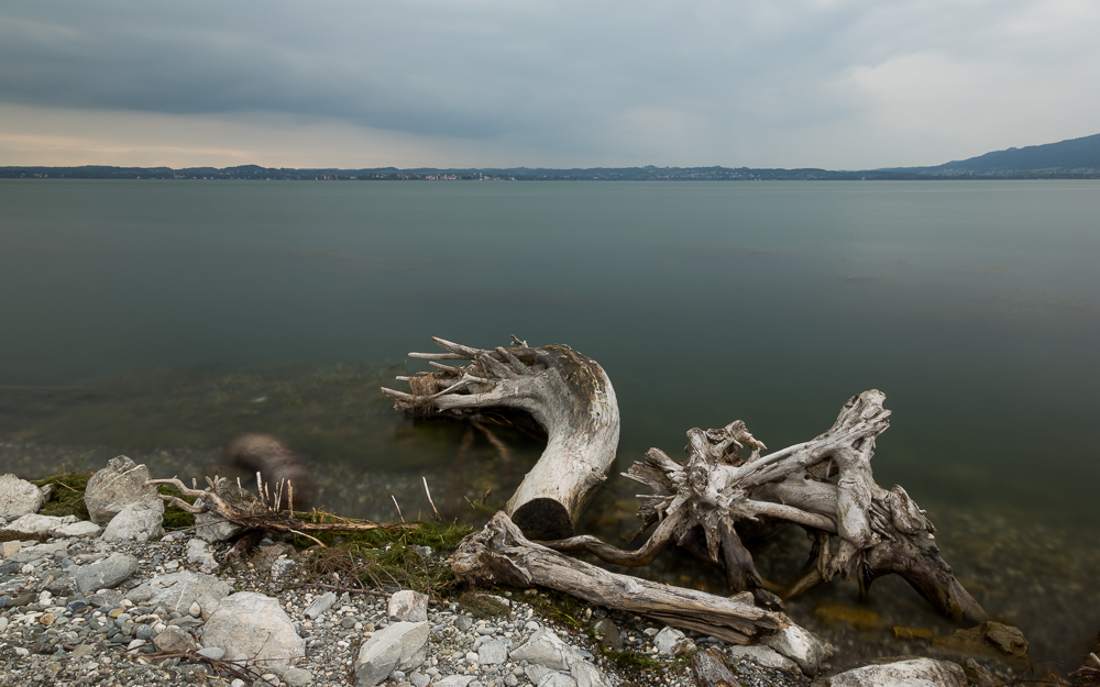 Bodenseeimpressionen 5