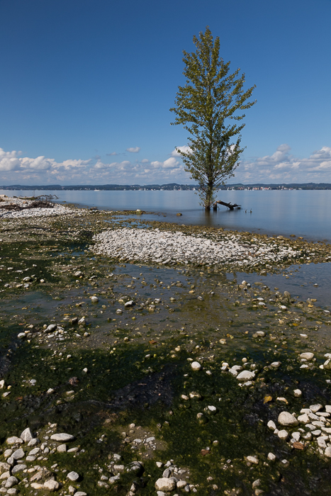 Lange Zeiten am See 4