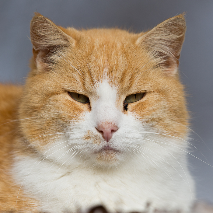 Schau mir in die Augen 2