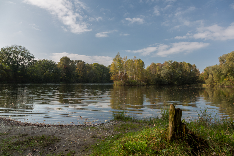 Stimmungen in den Rheinauen 1