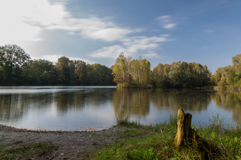 Stimmungen in den Rheinauen 2