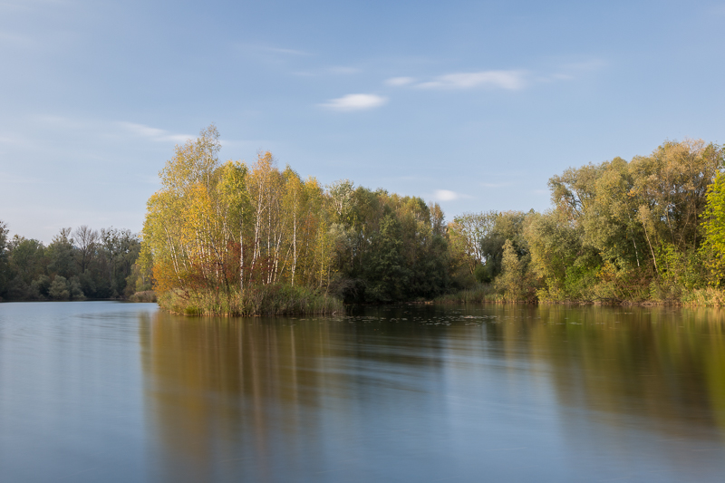 Stimmungen in den Rheinauen 3