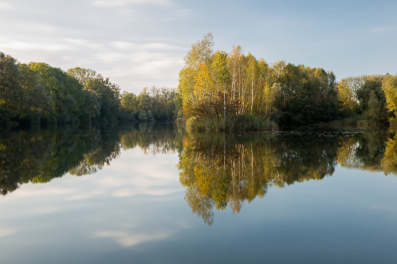 Stimmungen in den Rheinauen 4
