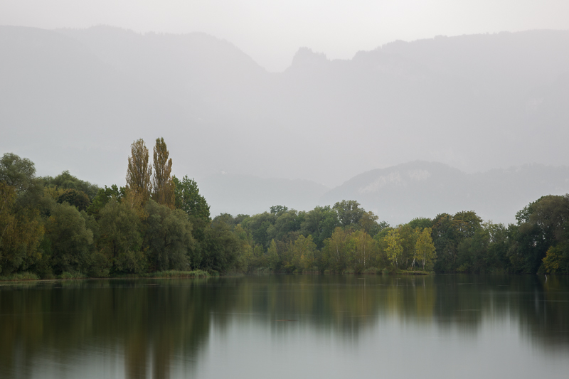 Stimmungen in den Rheinauen 5
