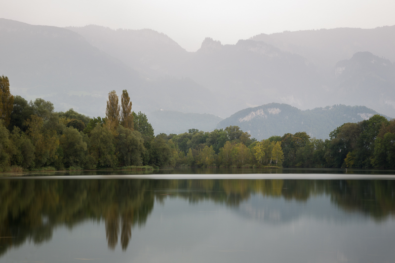 Stimmungen in den Rheinauen 6