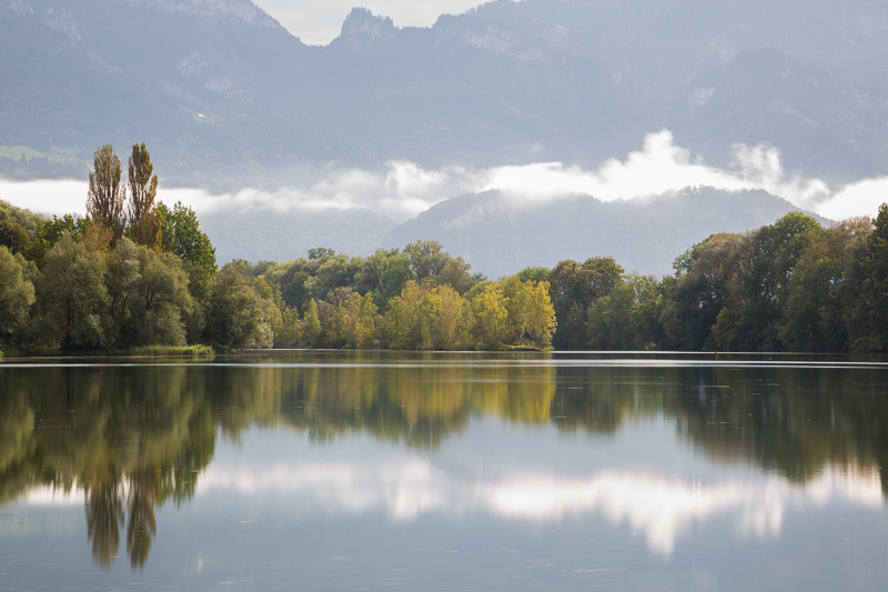 Stimmungen in den Rheinauen 11