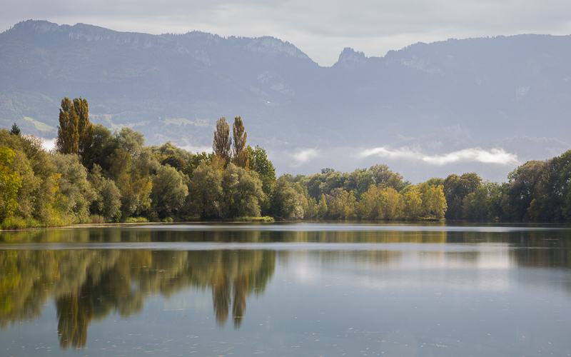 Stimmungen in den Rheinauen 12