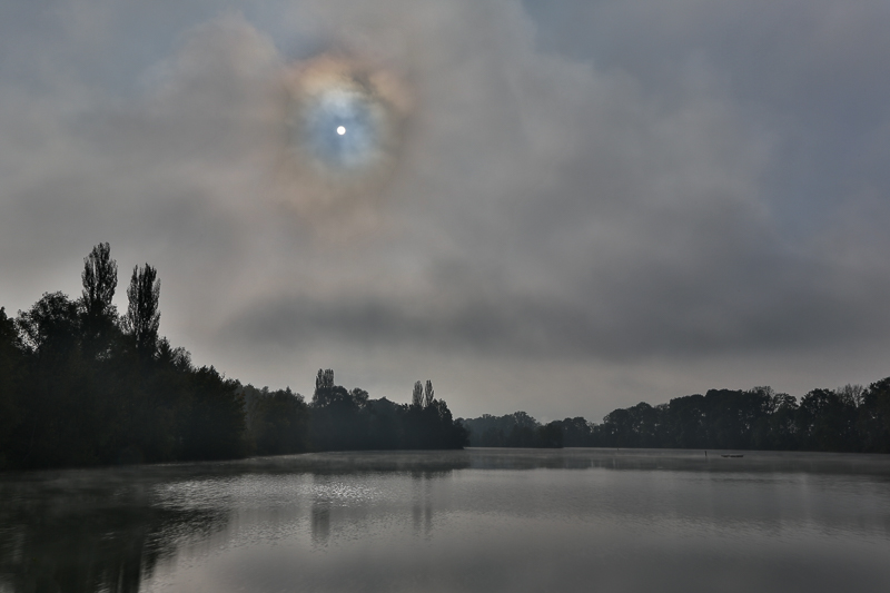 Stimmungen in den Rheinauen 13