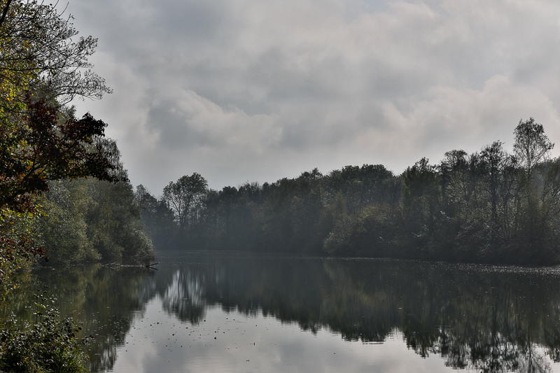 Stimmungen in den Rheinauen 14