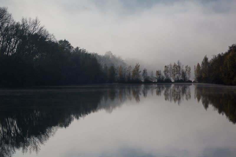 Stimmungen in den Rheinauen 15
