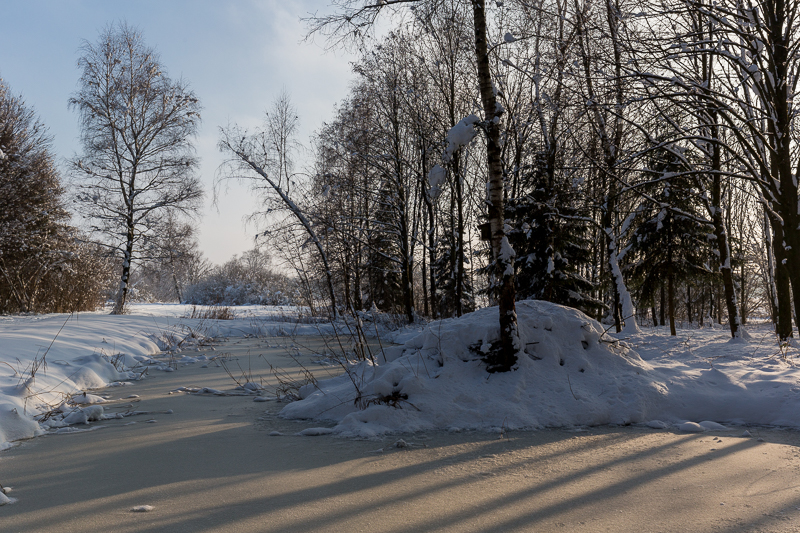 Winter im Biotop 3
