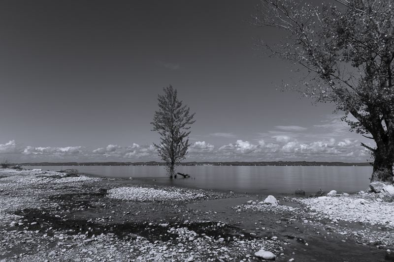 Bodensee 3