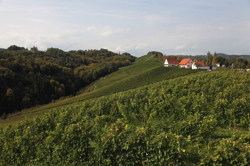 Südsteiermark 1