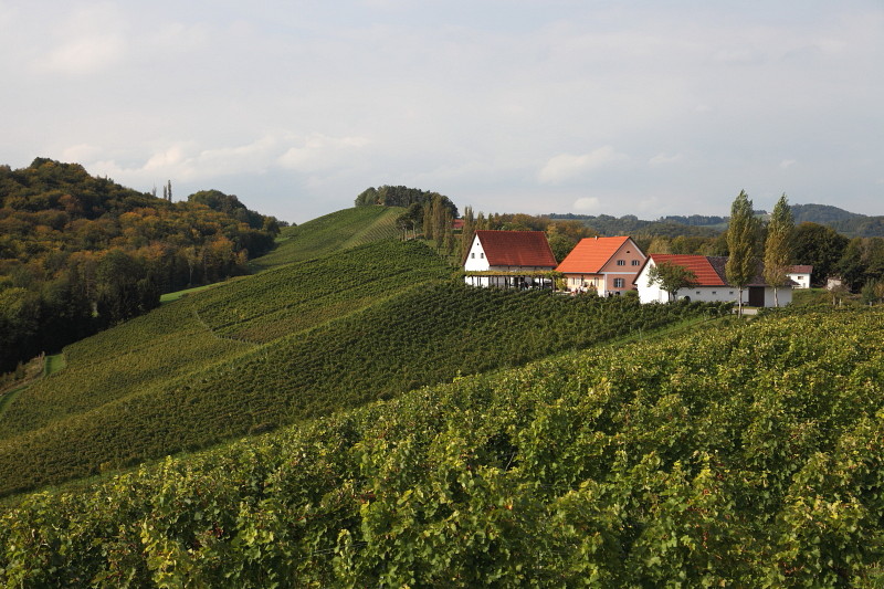 Südsteiermark 2