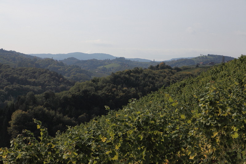 Südsteiermark 9