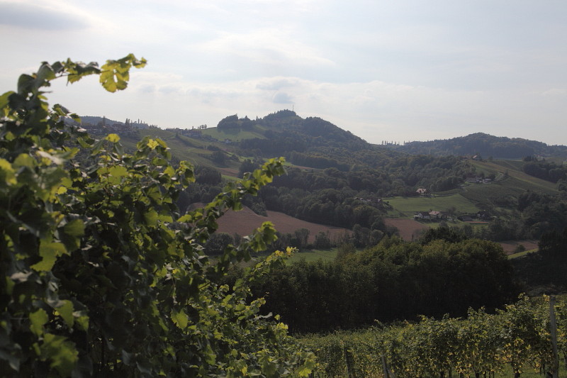 Südsteiermark 10