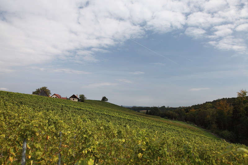 Südsteiermark 25