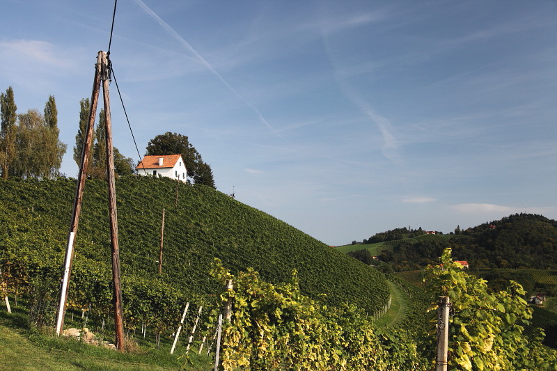 Südsteiermark 40
