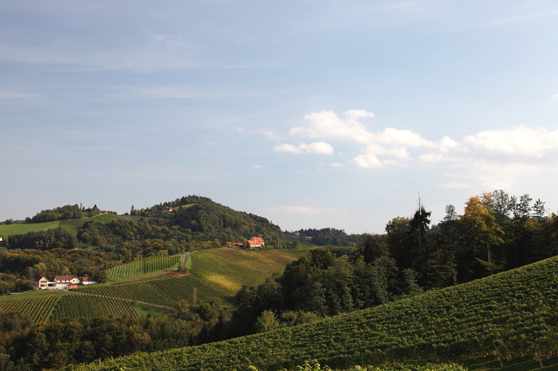 Südsteiermark 41