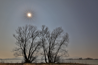 Zur Seite Neue Fotos