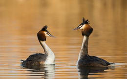 Jahresrückblick Random 2014