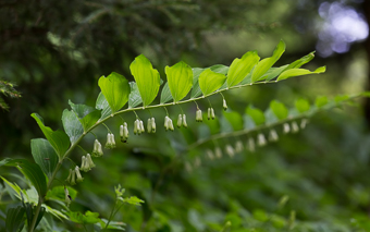 Zur Seite Neue Fotos