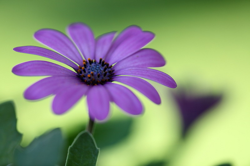 Fast schon gemalt Bild 1