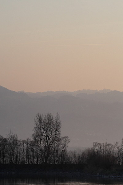 Ein Abend im Naturschutzgebiet Rheindelta