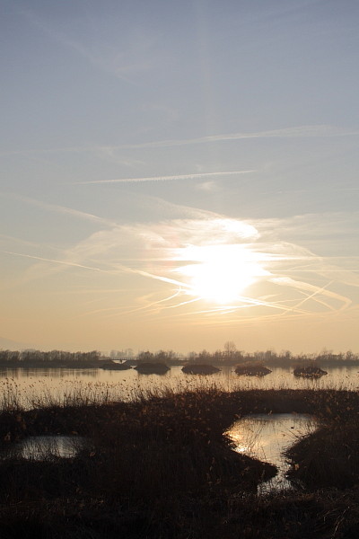 Ein Abend im Naturschutzgebiet Rheindelta