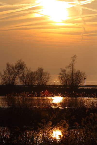 Ein Abend im Naturschutzgebiet Rheindelta