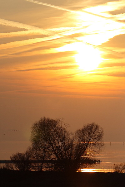 Ein Abend im Naturschutzgebiet Rheindelta