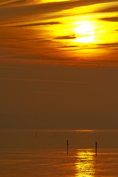 Ein Abend im Naturschutzgebiet Rheindelta