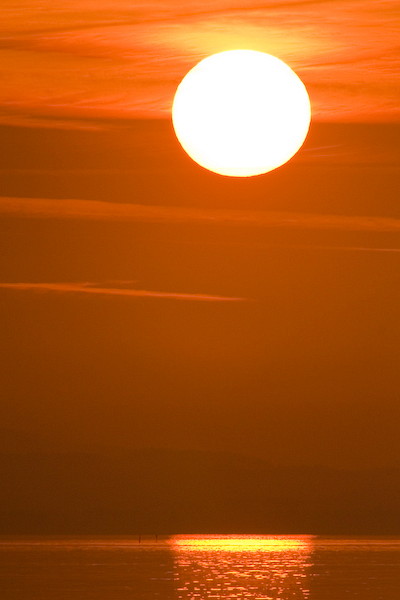 Ein Abend im Naturschutzgebiet Rheindelta