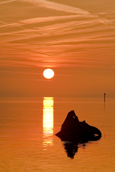 Ein Abend im Naturschutzgebiet Rheindelta
