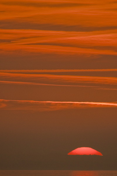 Ein Abend im Naturschutzgebiet Rheindelta